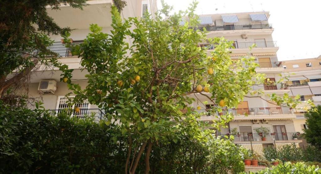 House With Garden And Parking Space In Mergellina ナポリ エクステリア 写真